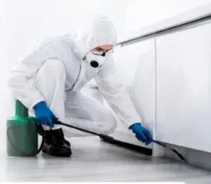 Technicien en tenue de protection réalisant un traitement anti-nuisibles